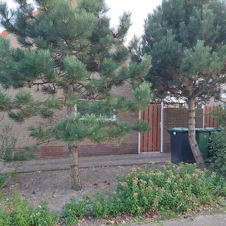 Zomerhuis Simoons בית נופש