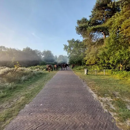 Zomerhuis Simoons בית נופש אגמונד אן זי