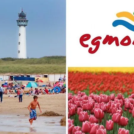 Vakantiehuis Zomerhuis Simoons
